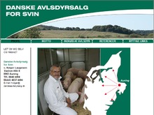 Danske Avlsdyrsalg for Svin